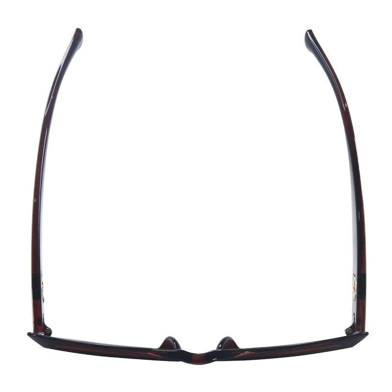 Gravon Brown Large Full Rim Wayfarer Sunglasses for Women — Hashtag Eyewears