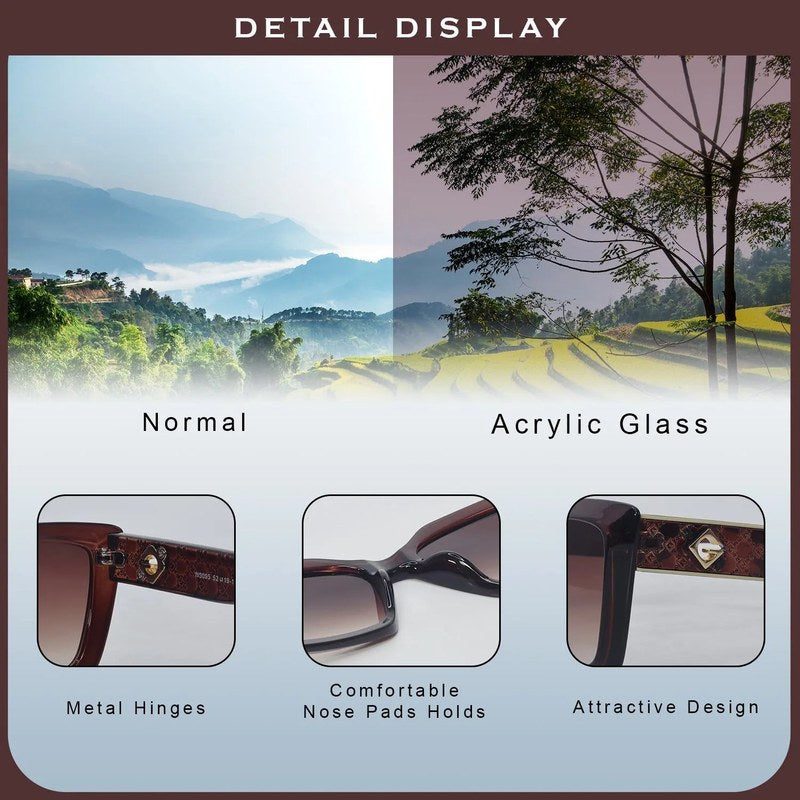 Gravon Brown Large Full Rim Wayfarer Sunglasses for Women — Hashtag Eyewears