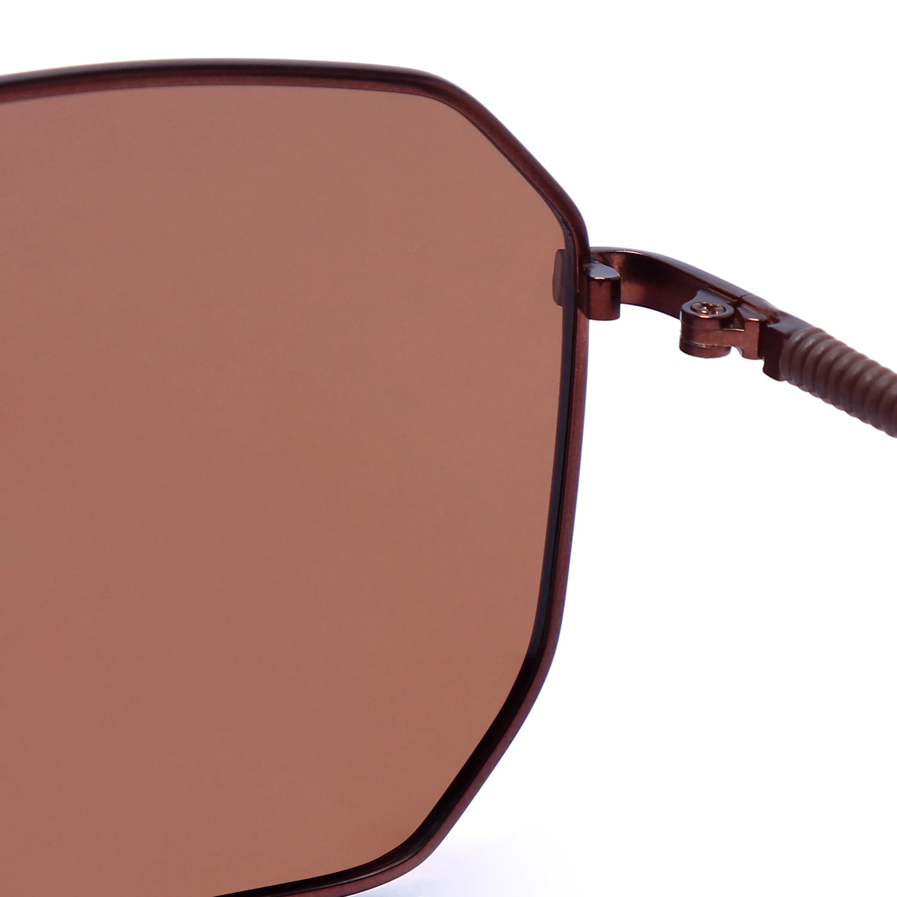 Lenis | Golden & Brown Large Full Rim Hexagonal Sunglasses for Men & Women [Polarized]