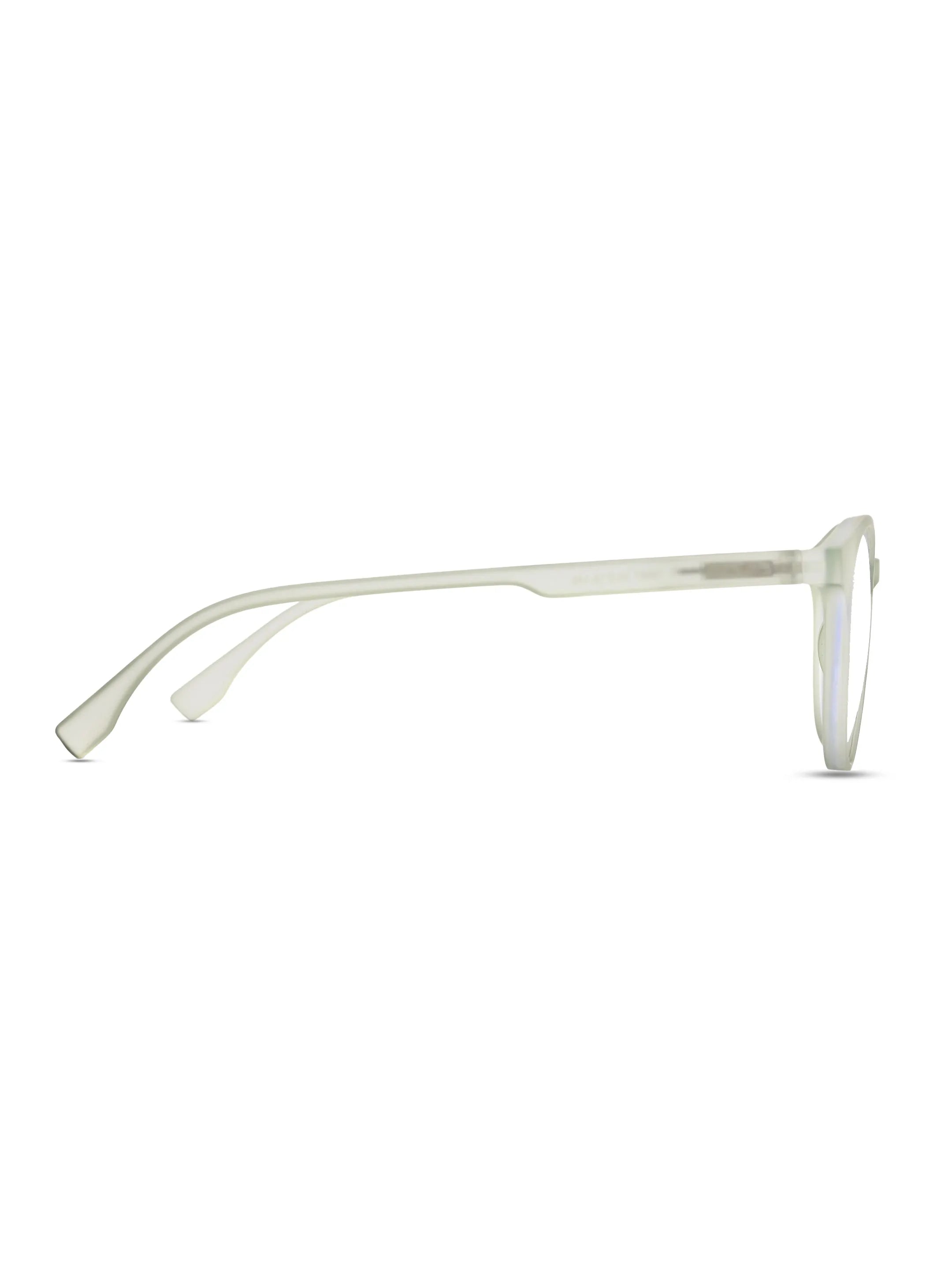 RayBloc | Light Green Medium Full Rim OVAL Computer Glasses for Men & Women [Blue Block]