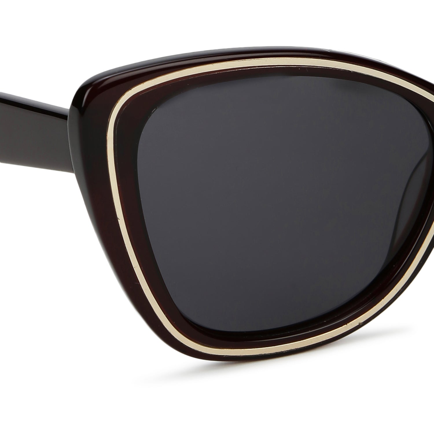 CATWIRE | Brown-Gold Large Full Rim Cateye Sunglasses for Women [Polarized]