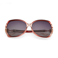 Fyra Transparent Purple Large Full Rim Butterfly Sunglasses for Women — Hashtag Eyewears
