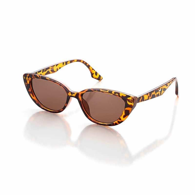 Ultravox Tiger-Black-Brown Medium Full Rim Cat-Eye Sunglasses for Women HASHTAG X WHITECHERRY — Hashtag Eyewears