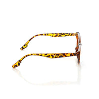 Ultravox Tiger-Black-Brown Medium Full Rim Cat-Eye Sunglasses for Women HASHTAG X WHITECHERRY — Hashtag Eyewears