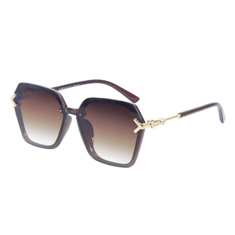 Veilion Brown Large Full Rim Hexagonal Sunglasses for Women — Hashtag Eyewears